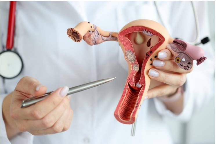 Best Dcotor for Hysterectomy Treatment in Thane West